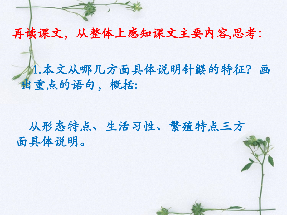 《珍奇的稀有动物—针鼹》课堂学习.ppt_第2页