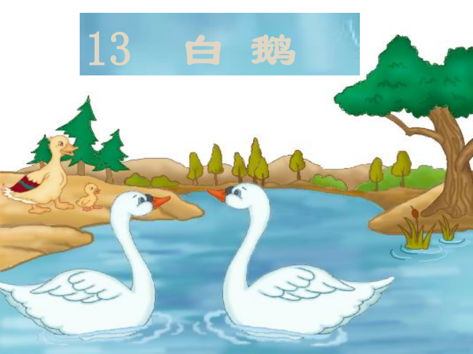 《白鹅》教学ppt.ppt_第1页