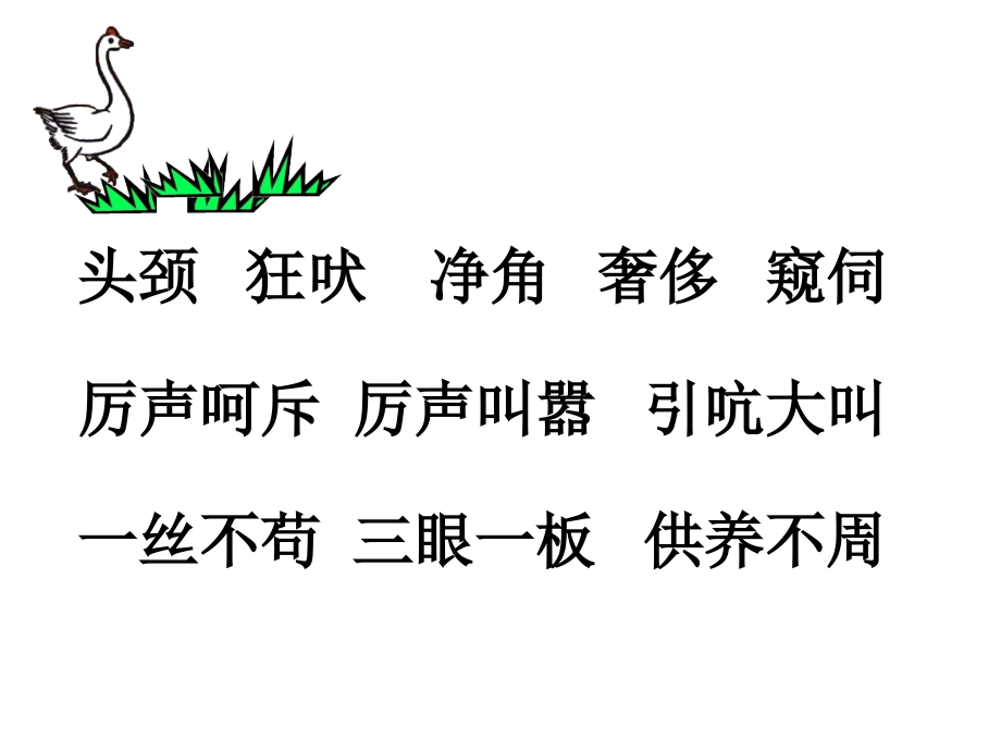 《白鹅》教学ppt.ppt_第2页
