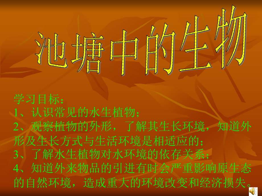 池塘中的植物--导学案.ppt_第1页