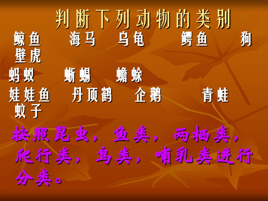 池塘中的植物--导学案.ppt_第2页