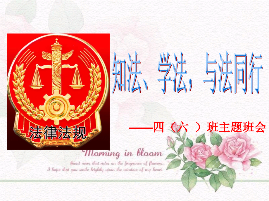 普法班会课件.ppt_第1页