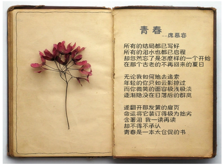 席慕蓉诗集选图.ppt_第2页