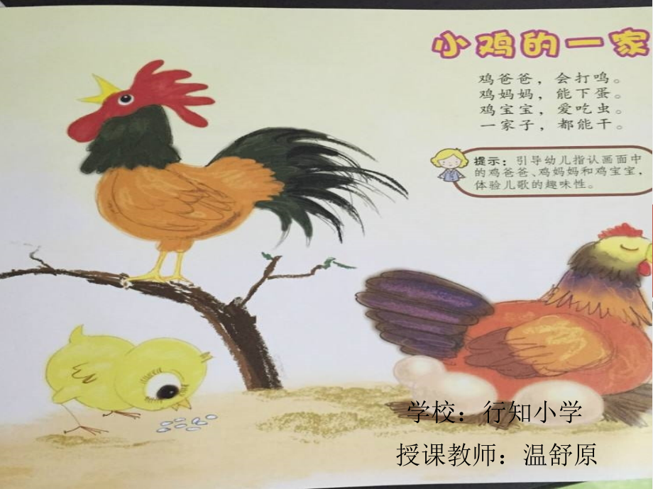 演唱小鸡的一家.ppt_第1页