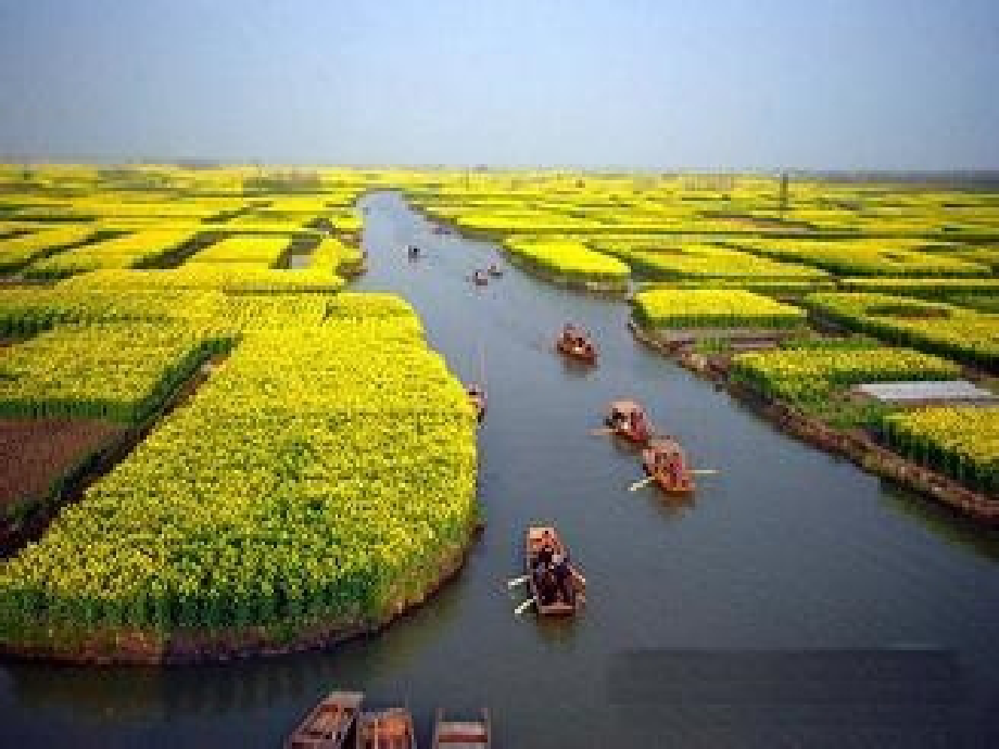 春天的景色.ppt_第2页