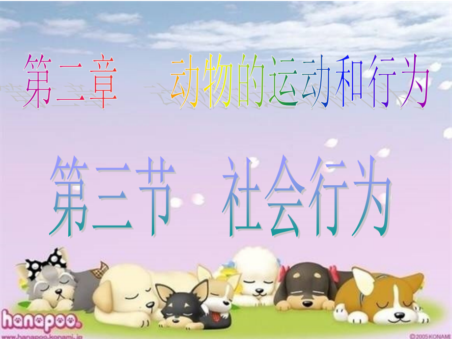 八年级生物上册生物第二章第三节社会行为课件人教版.ppt_第1页