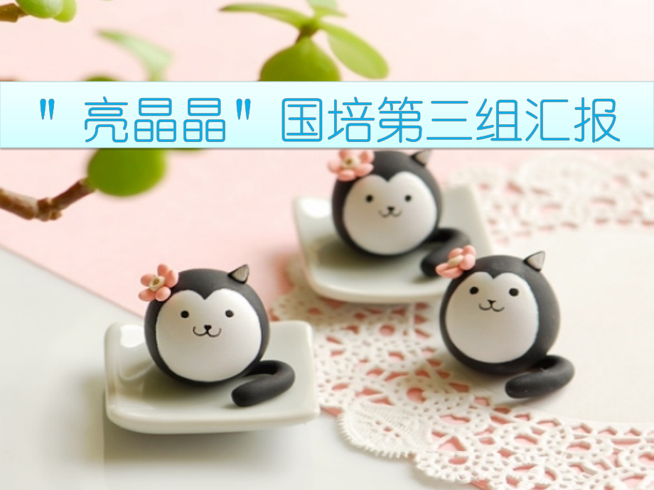 新村幼儿园国培学习心得.ppt_第1页