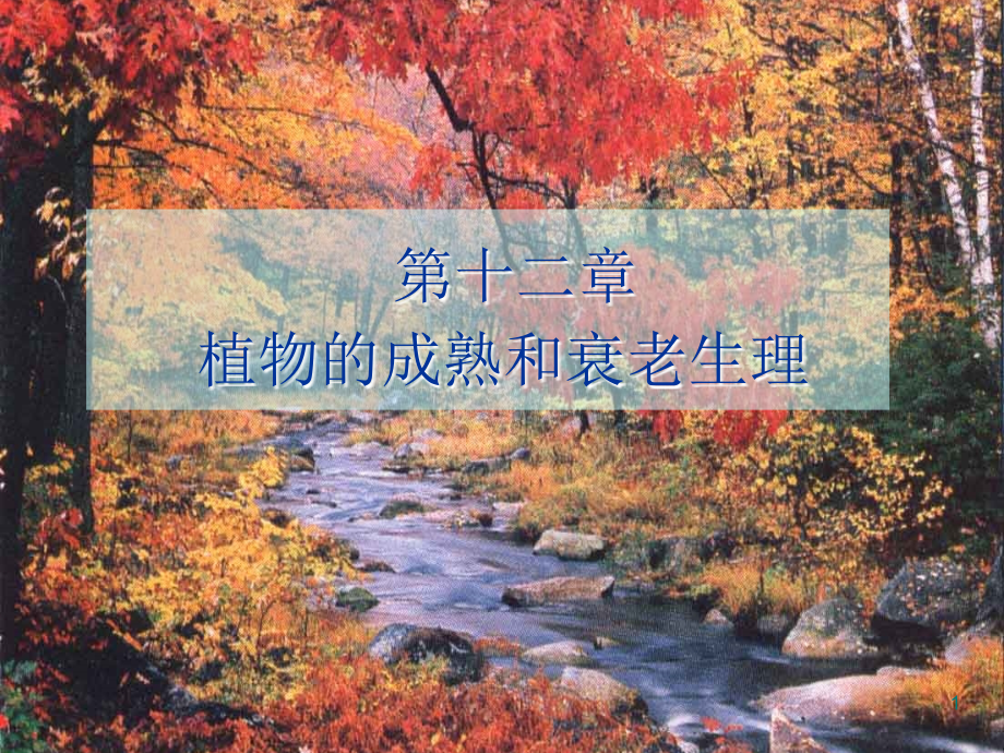 植物生理学植物的成熟和衰老生理ppt课件.ppt_第1页