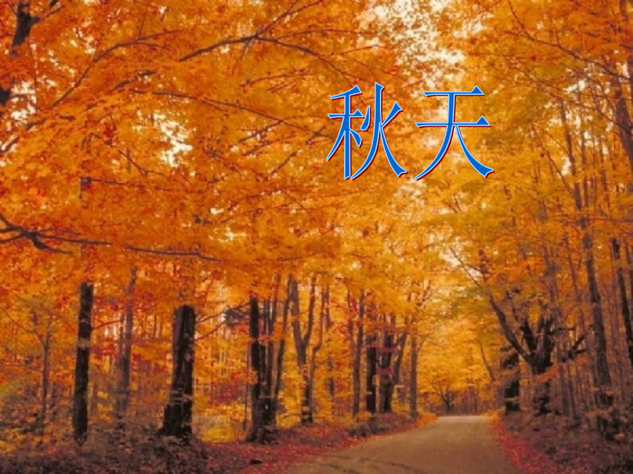 落叶(语言).ppt_第2页