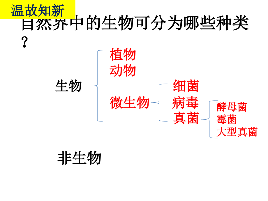 第三节认识生物圈.ppt_第1页