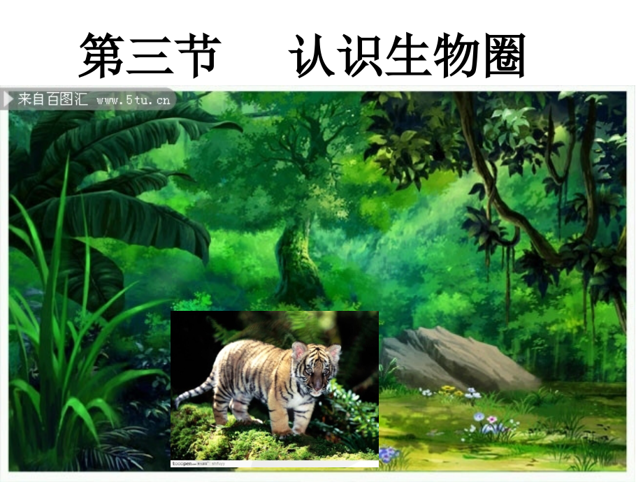第三节认识生物圈.ppt_第2页
