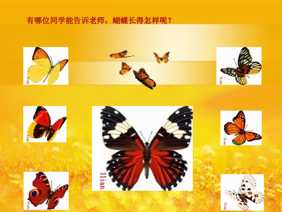 有趣的填充工具(课件).ppt_第1页