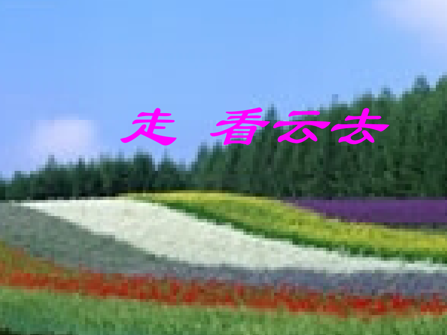 走看云去课件.ppt_第1页