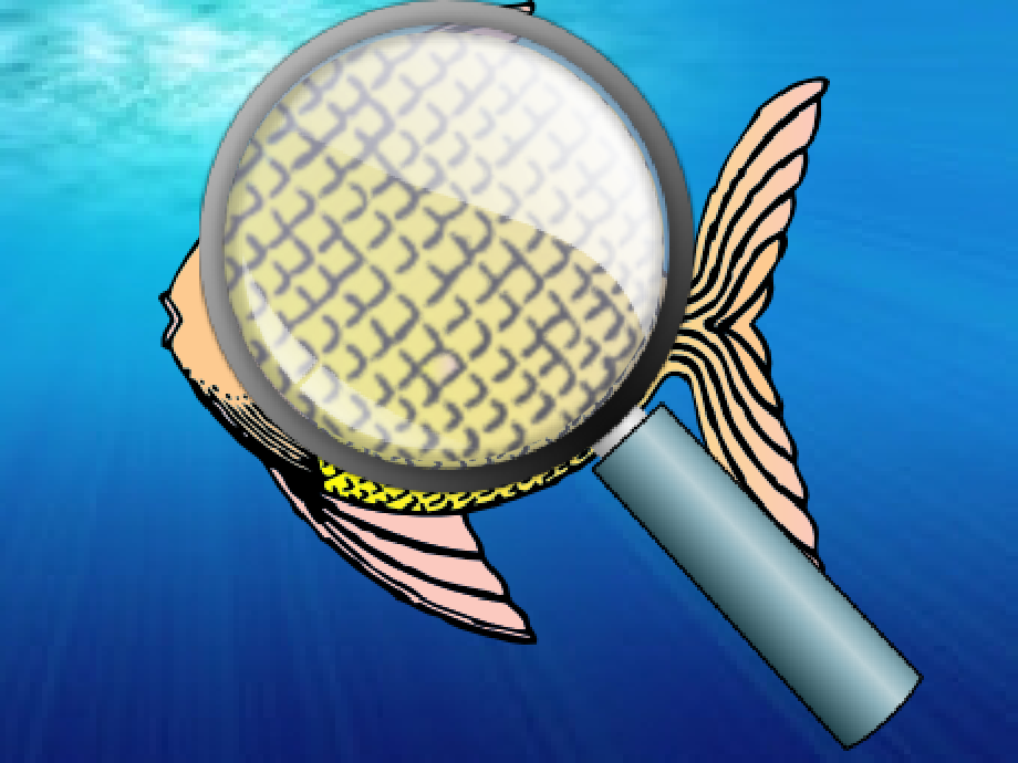 rainbow fish.ppt_第2页
