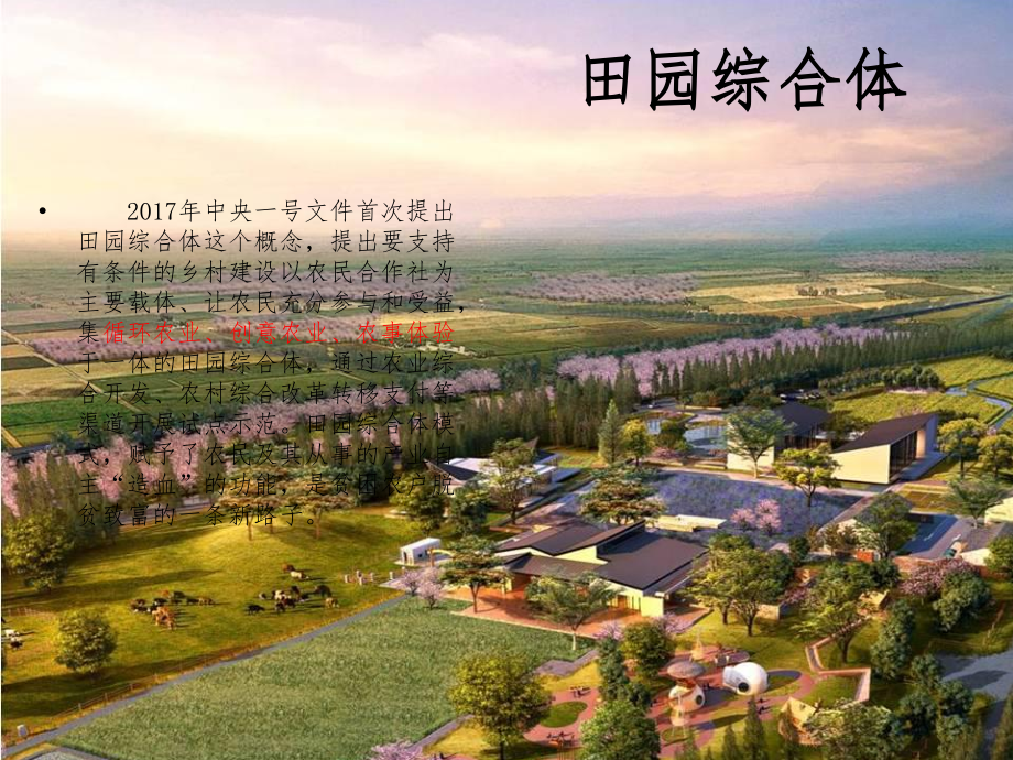 田园综合体.ppt_第1页