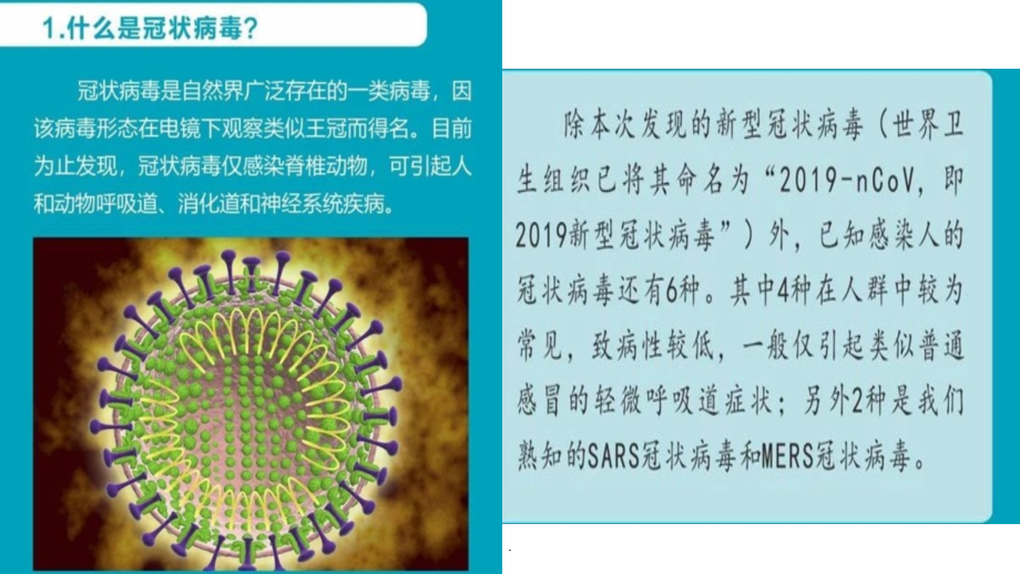 新冠肺炎ppt课件.ppt_第2页