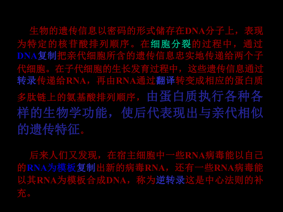 蛋白质合成PPT.ppt_第2页