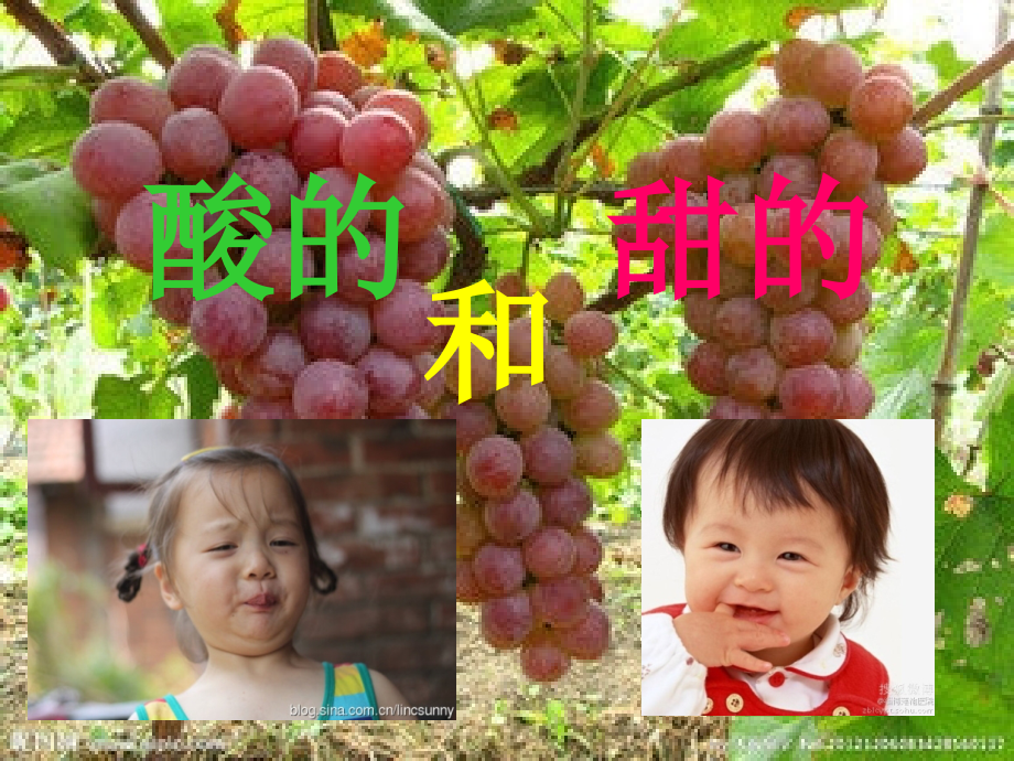 人教版小学语文二年级上册《酸的和甜的》课件-.pptx_第2页