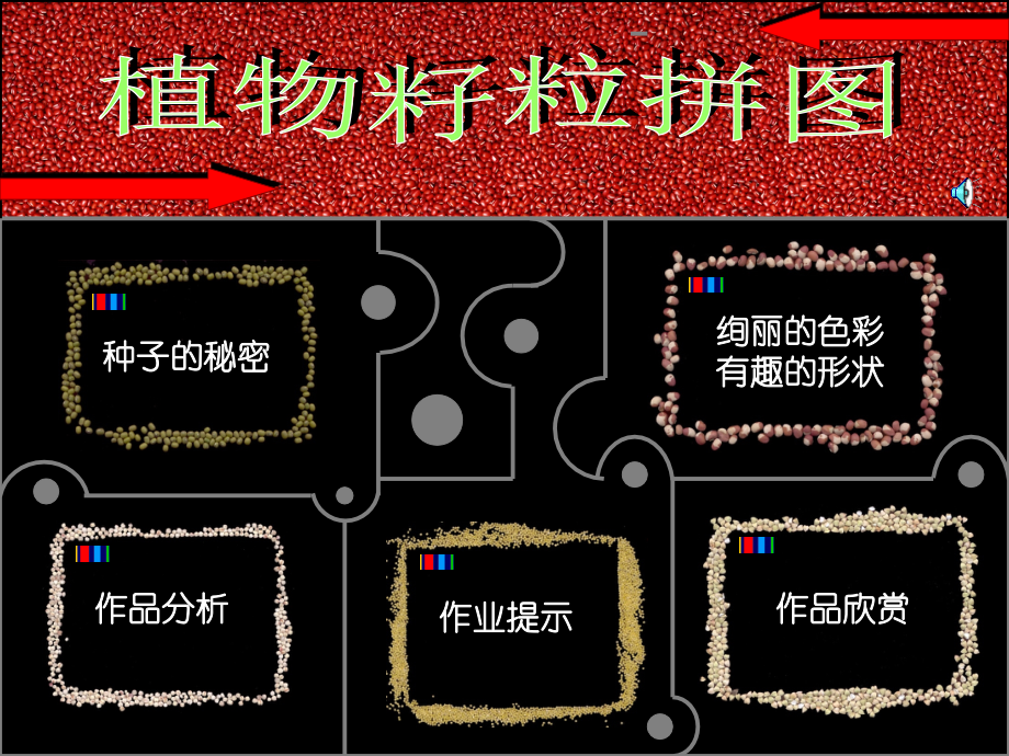 《植物籽粒拼图》课件.ppt_第1页