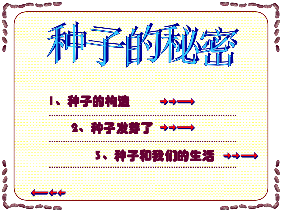 《植物籽粒拼图》课件.ppt_第2页
