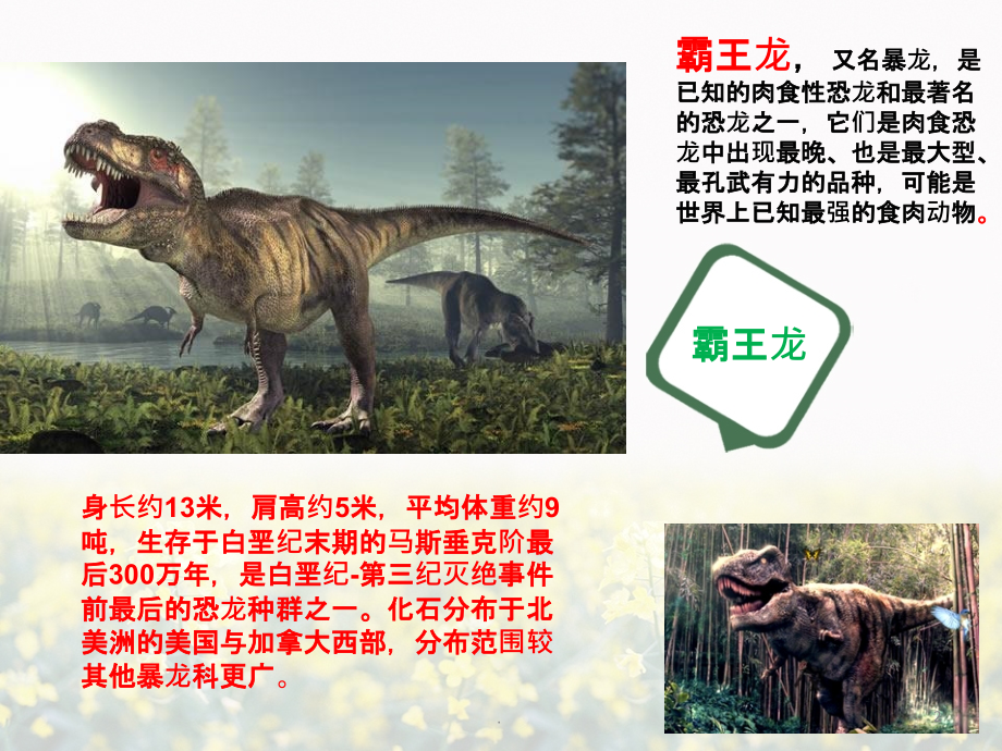 消失了的恐龙PPT课件.ppt_第2页