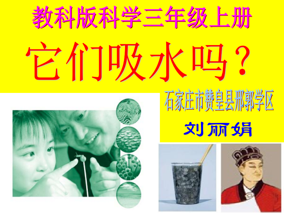 他们吸水吗课件.ppt_第1页