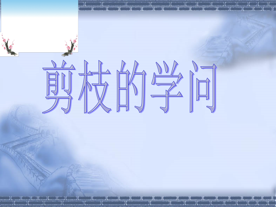 《剪枝的学问》第二课时.ppt_第1页