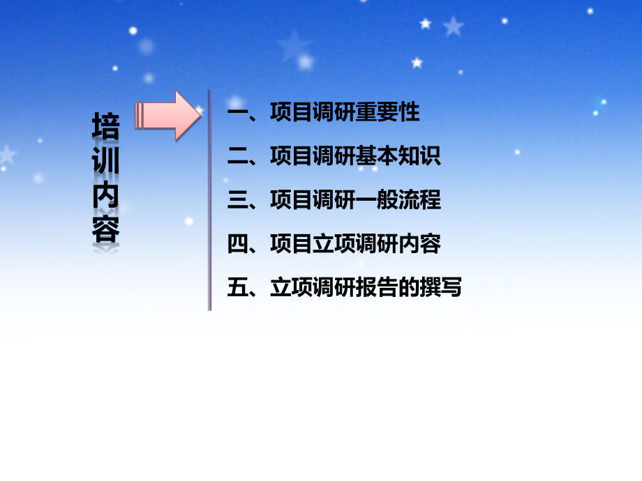 项目调研及立项调研报告的撰写.ppt_第2页