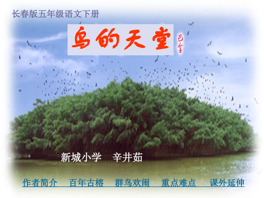 长春版语文五年级下册《鸟的天堂》课件.ppt_第1页