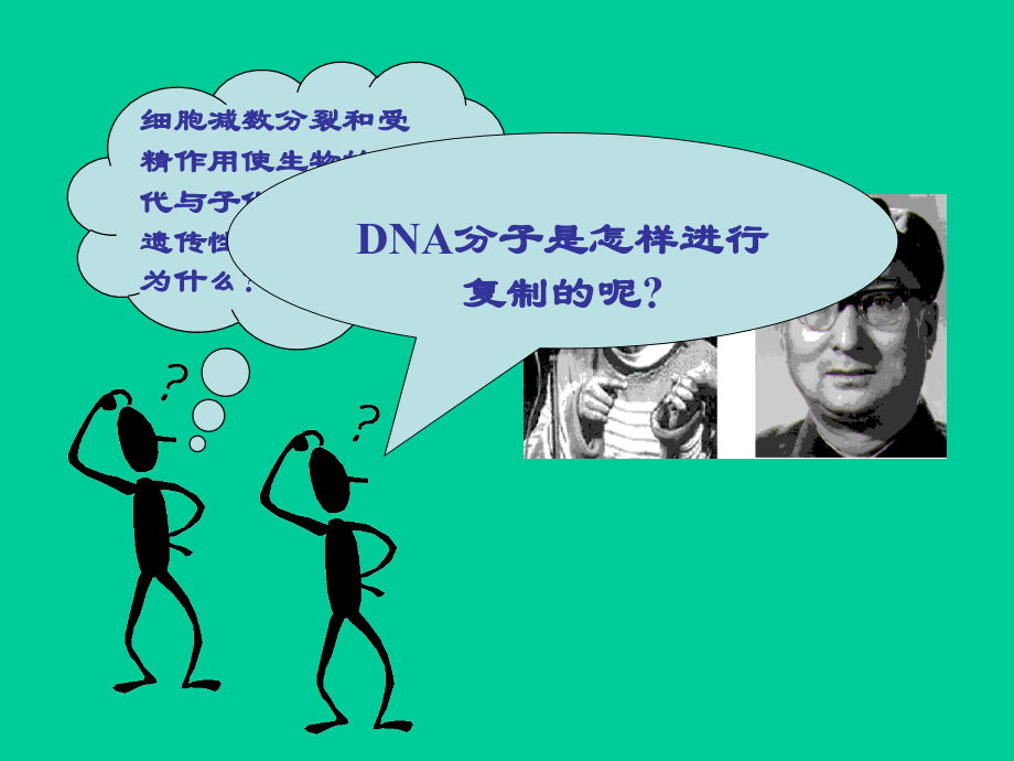 三从分子水平上研究遗传物质.ppt_第2页