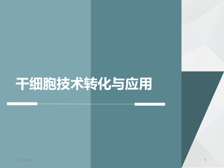 干细胞应用PPT课件.ppt_第1页