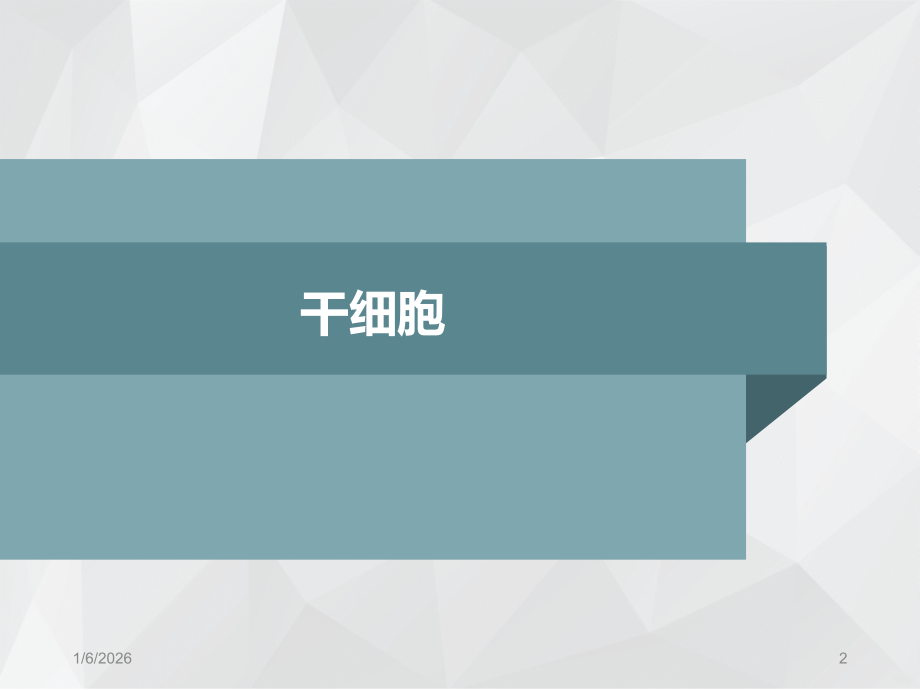 干细胞应用PPT课件.ppt_第2页