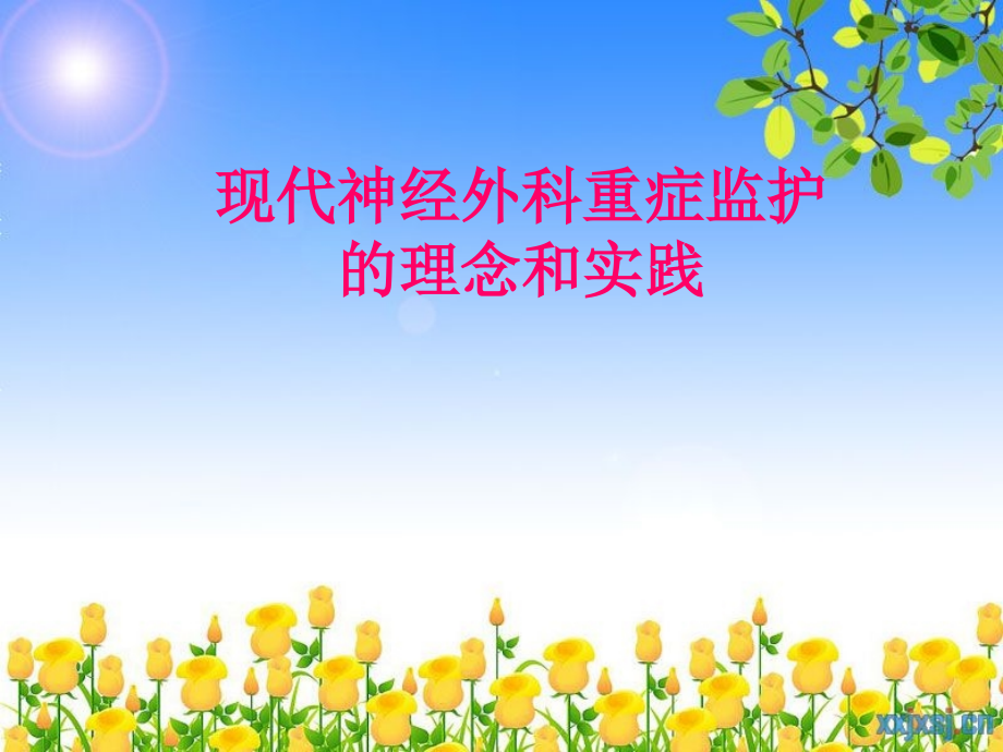 NICU理念PPT课件.ppt_第1页