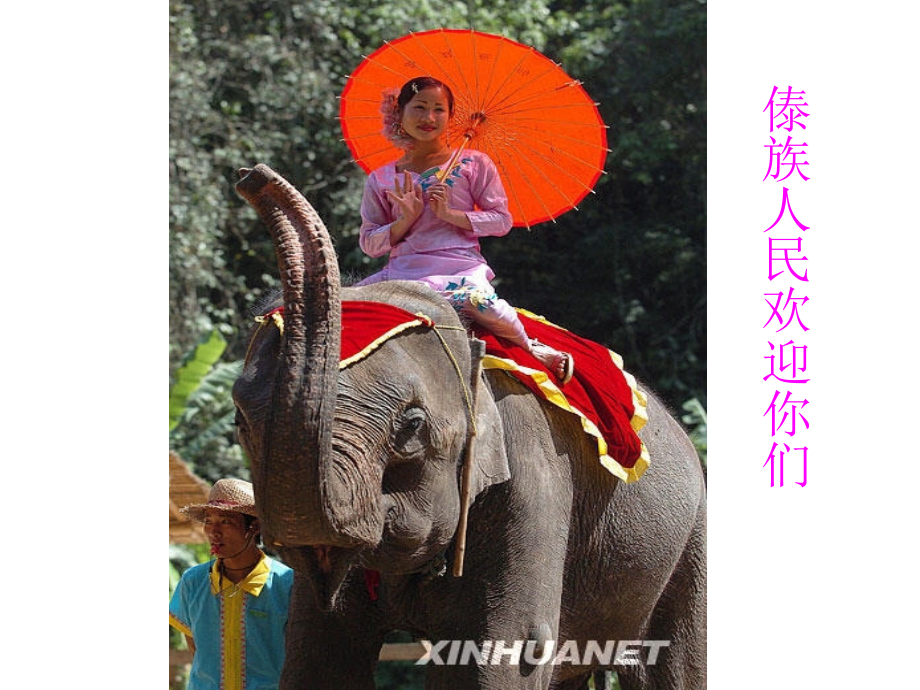 二年级下册《金孔雀轻轻跳》.ppt_第2页