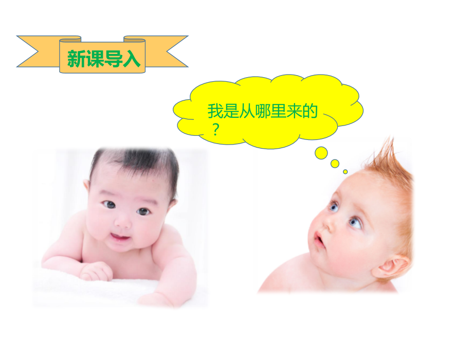 第三节人的生殖和胚胎发育.pptx_第2页