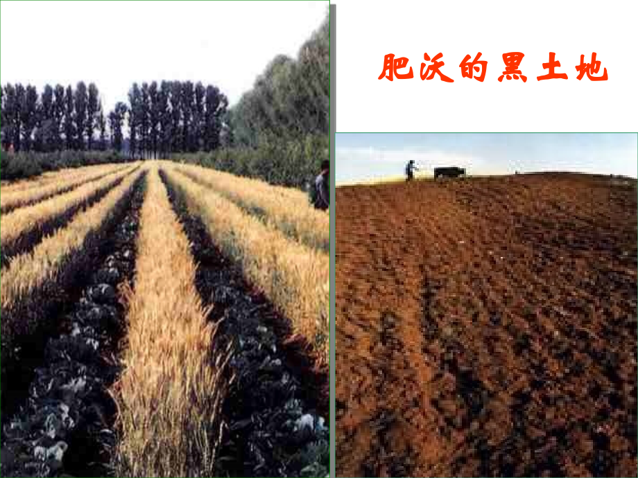 土地的誓言.ppt_第2页