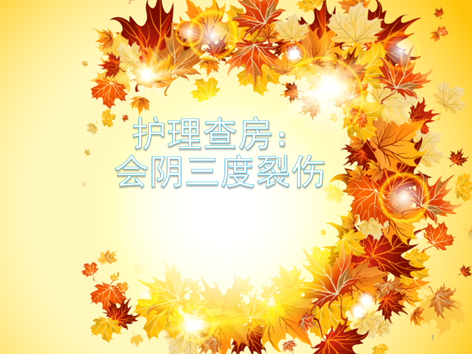 会阴三度裂ppt课件.ppt_第1页