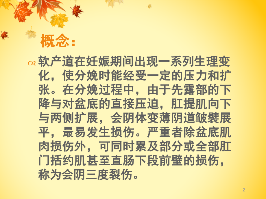 会阴三度裂ppt课件.ppt_第2页