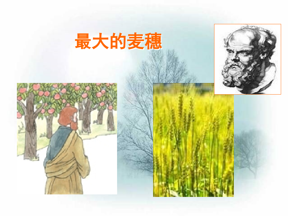 最大的麦穗(课件).ppt_第1页