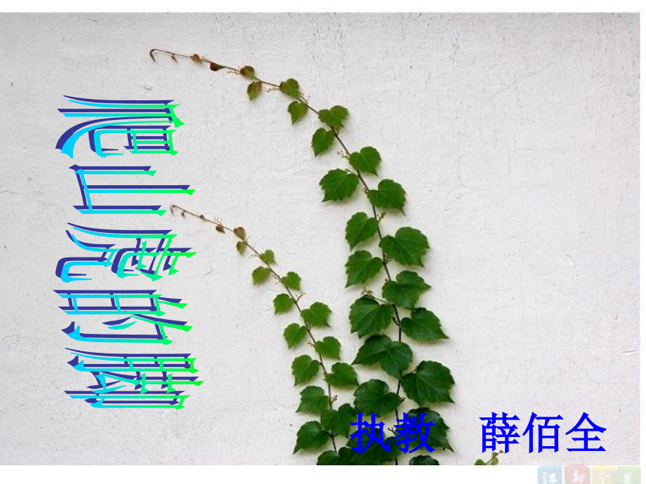 《爬山虎的脚》薛.ppt_第1页
