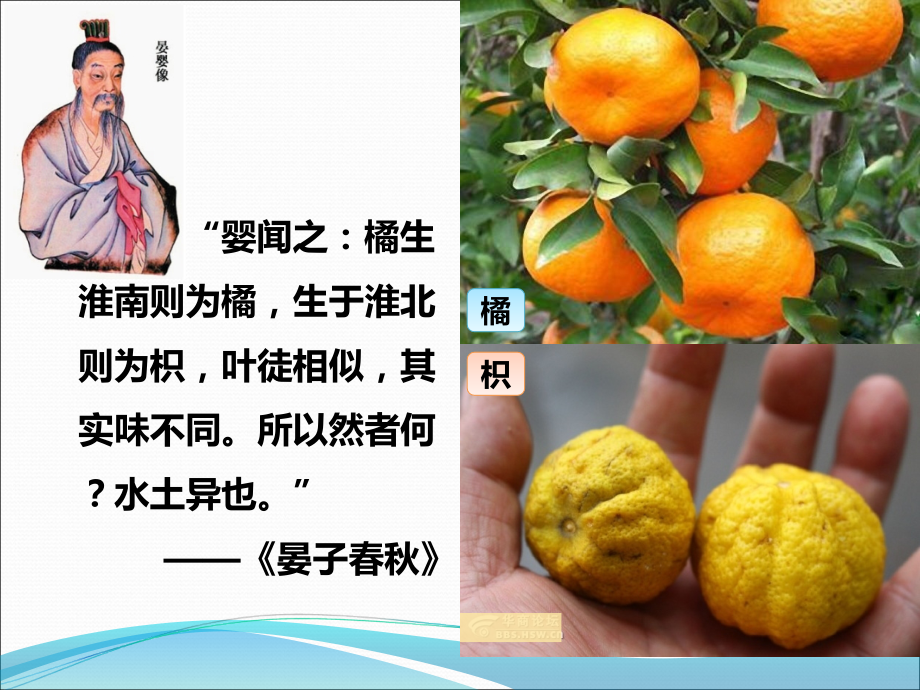 活动课认识南方地区和北方地区的区域差异.ppt_第2页