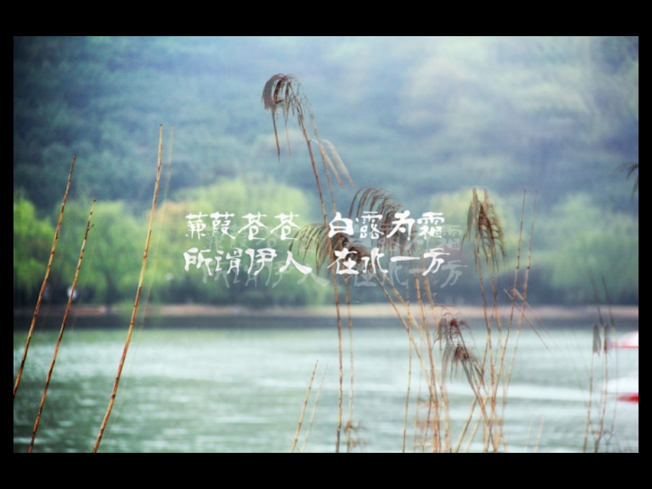 《诗经》两首课件.ppt_第1页