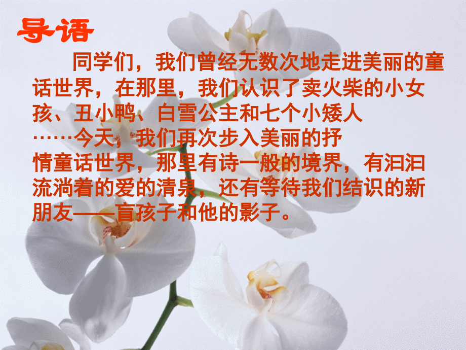 七年级人教版《盲孩子和他的影子》e.ppt_第2页