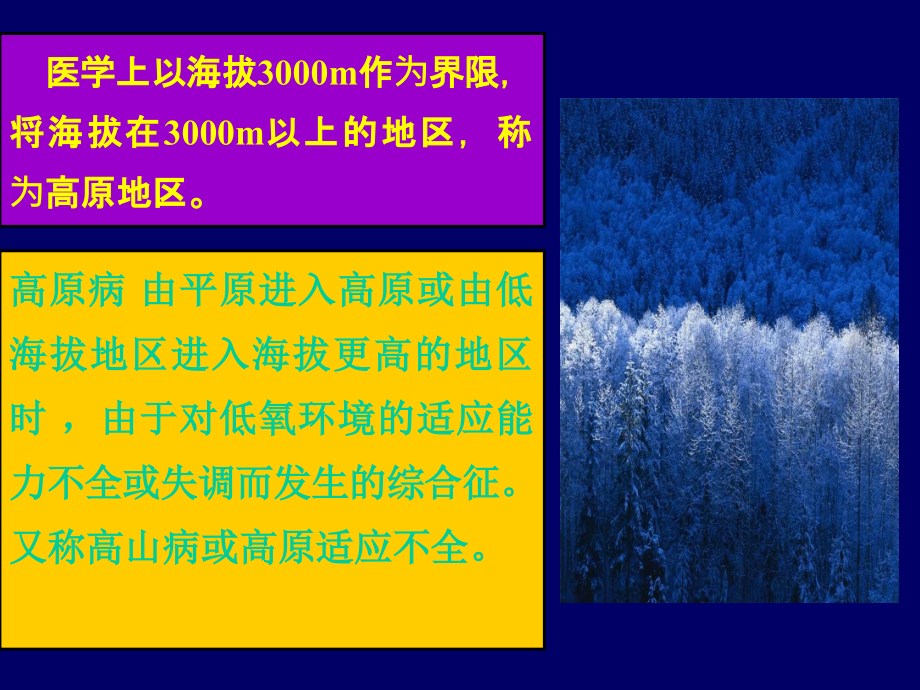 高原病ppt课件.ppt_第2页