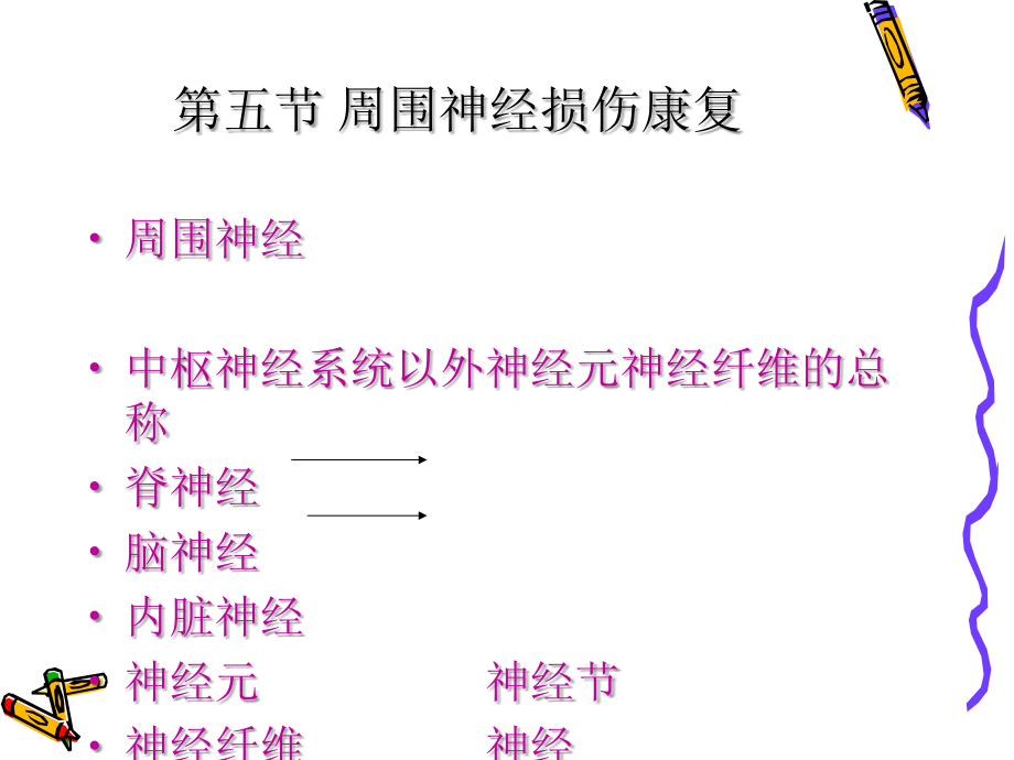 第四章-神经系统常见病损的康复-第五节-周围神经损伤康复.ppt_第2页