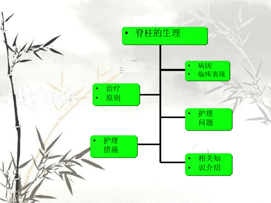 脊柱骨折伴脊髓损伤患者的护理ppt课件.ppt_第2页