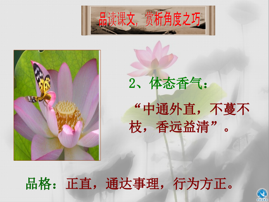 (部编)初中语文人教七年级下册《爱莲说》素材.ppt_第2页
