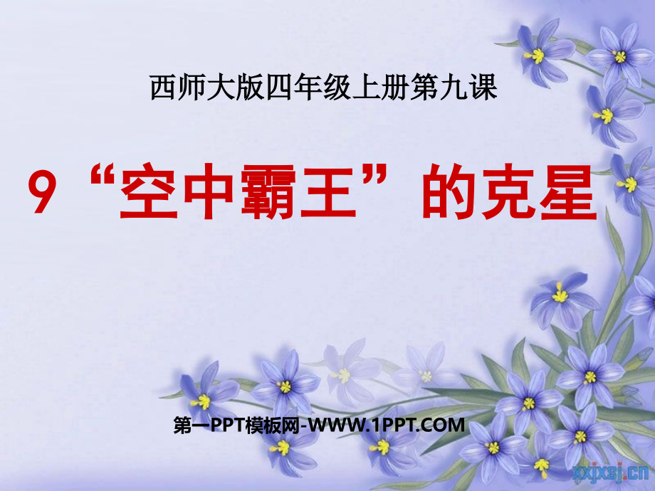 《空中霸王的克星》.ppt_第1页