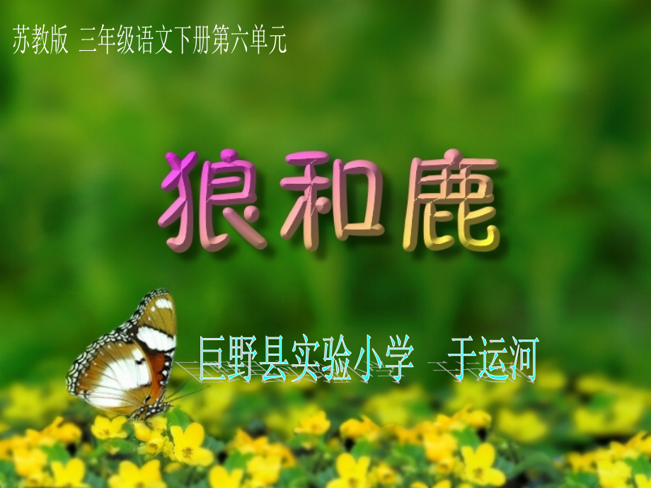 修改后《狼和鹿》PPT课件.ppt_第1页