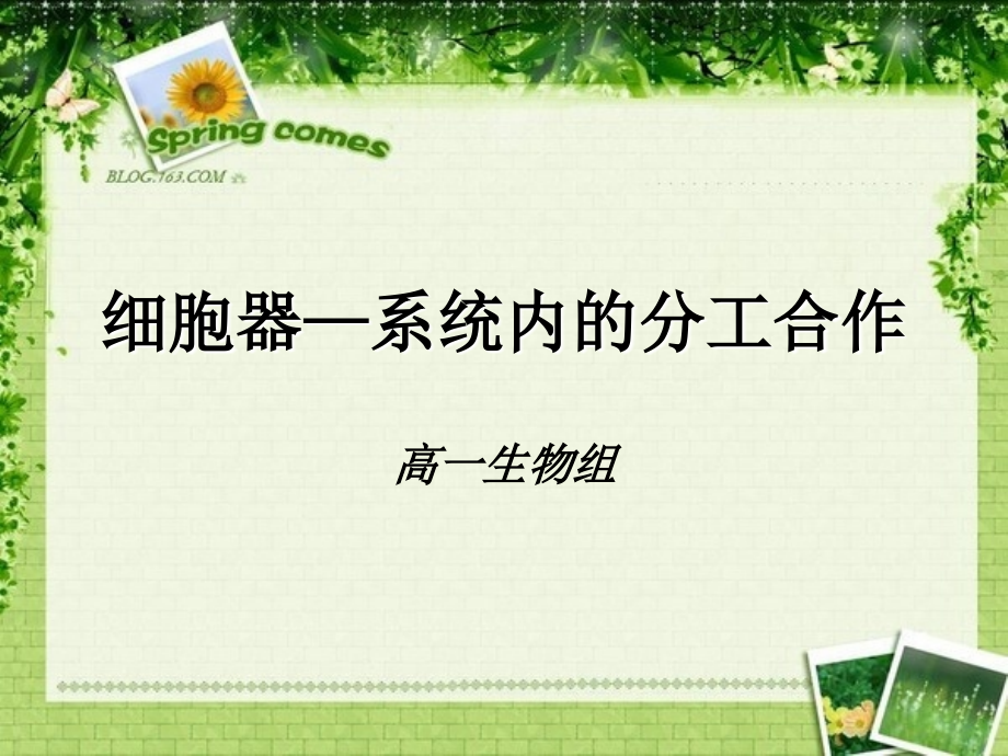 细胞器—系统内的分工合作（白）.ppt_第1页